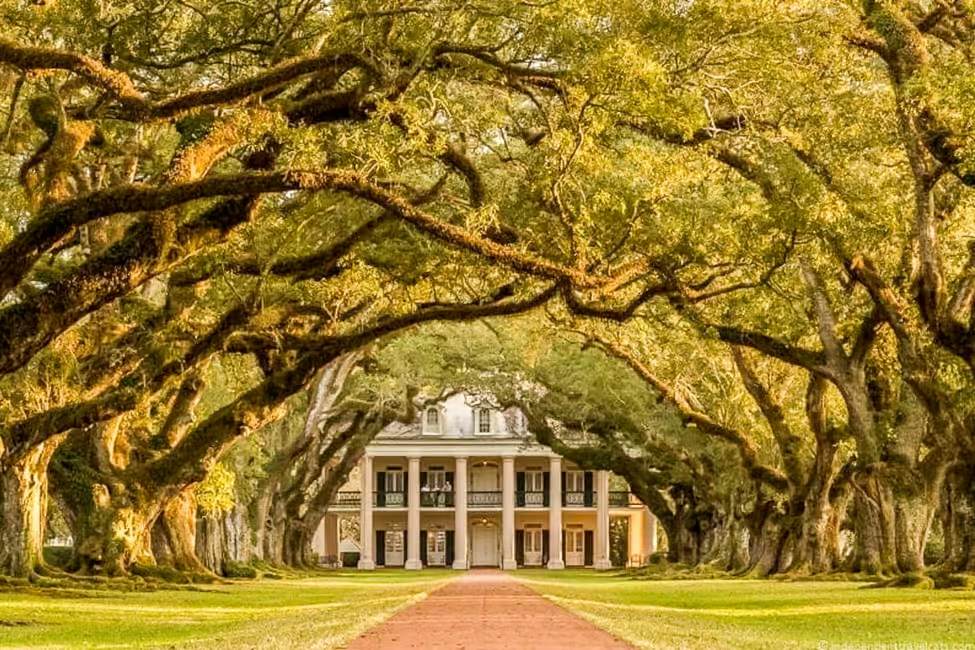 Oak Alley Plantation Tour from New Orleans