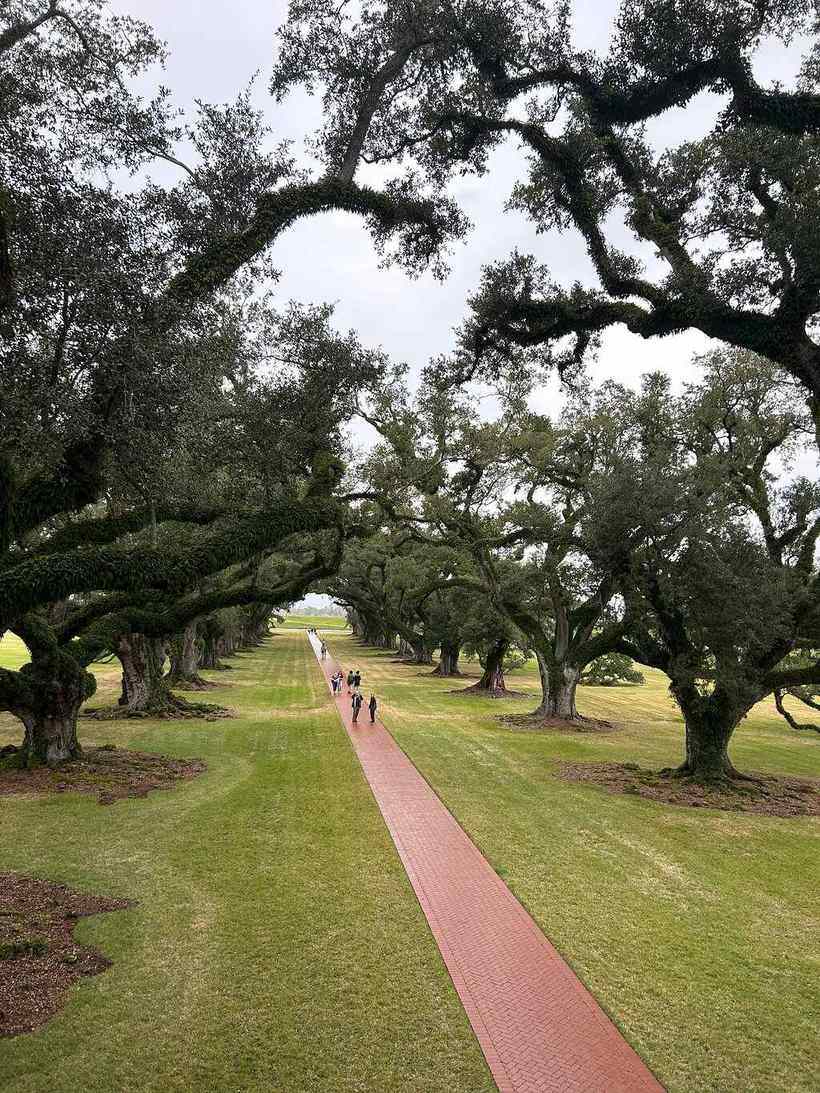 Full-Day Oak Alley Plantation and Swamp Tour