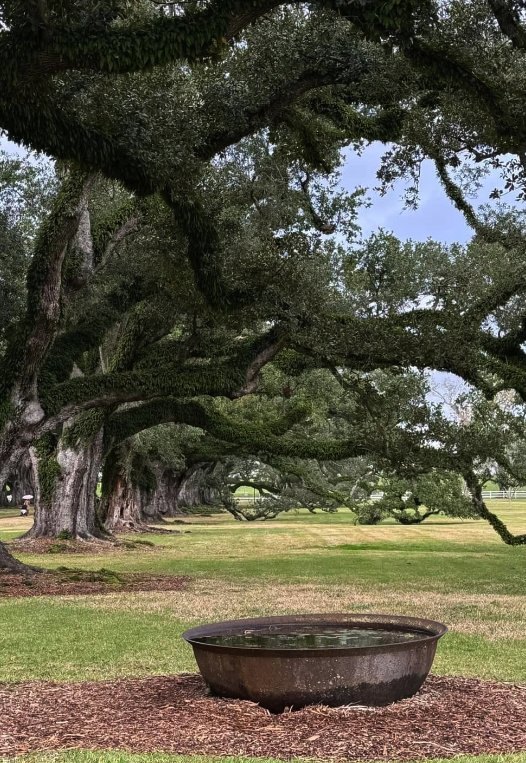 A cast-iron sugar kettle on the lawn at Oak Alley Plantation