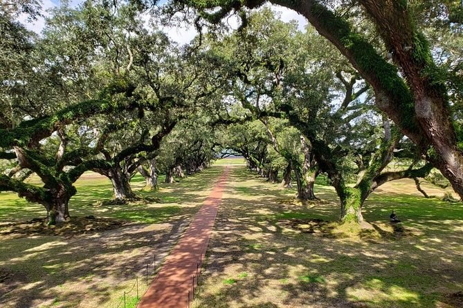 Oak Alley or Laura Plantation with Transportation From downtown