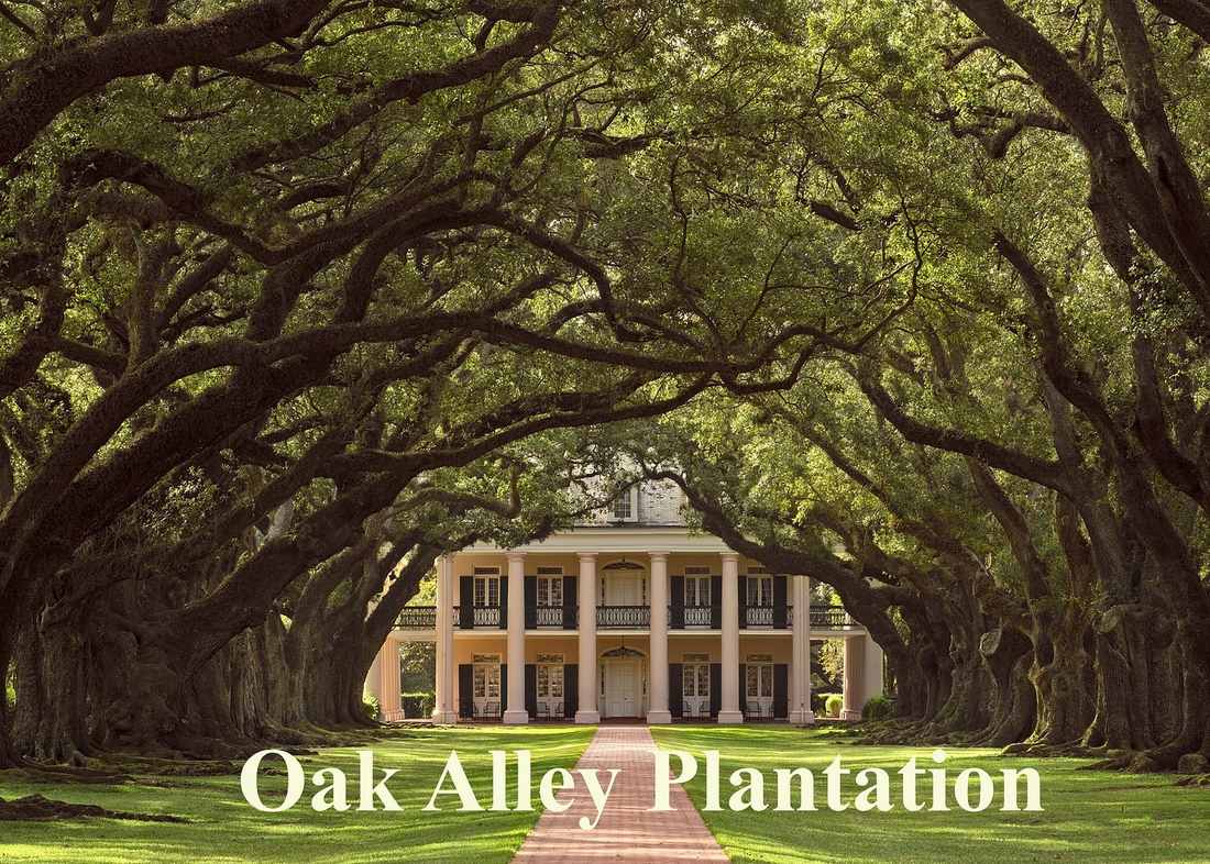Oak Alley or St. Joseph Plantation and Swamp Tour