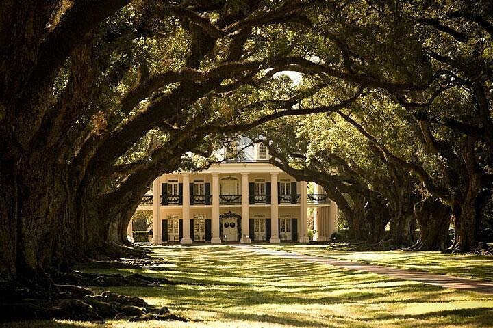 Oak Alley Plantation and Swamp Boat Tour