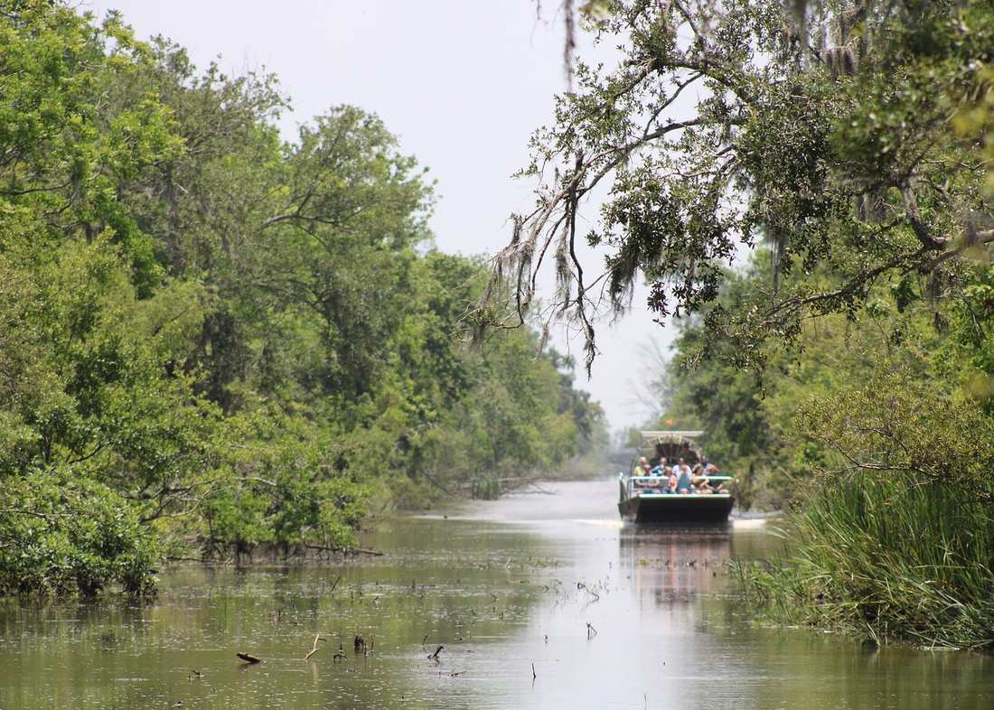 Small Airboat and Oak Alley Plantation Tour