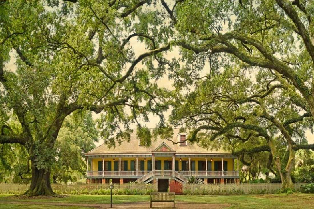 Small-Group Laura and Whitney Plantation Tour